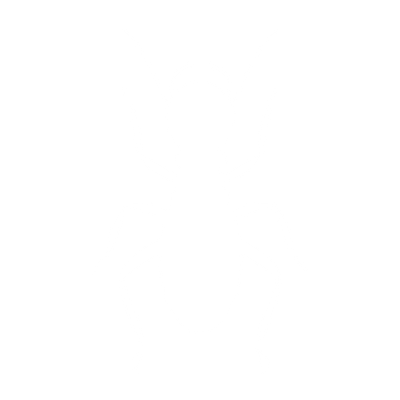 Termites